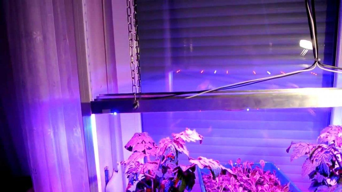 Konstruktion Meiner Led Pflanzenbeleuchtung  Youtube von Led Grow Lampe Selber Bauen Photo