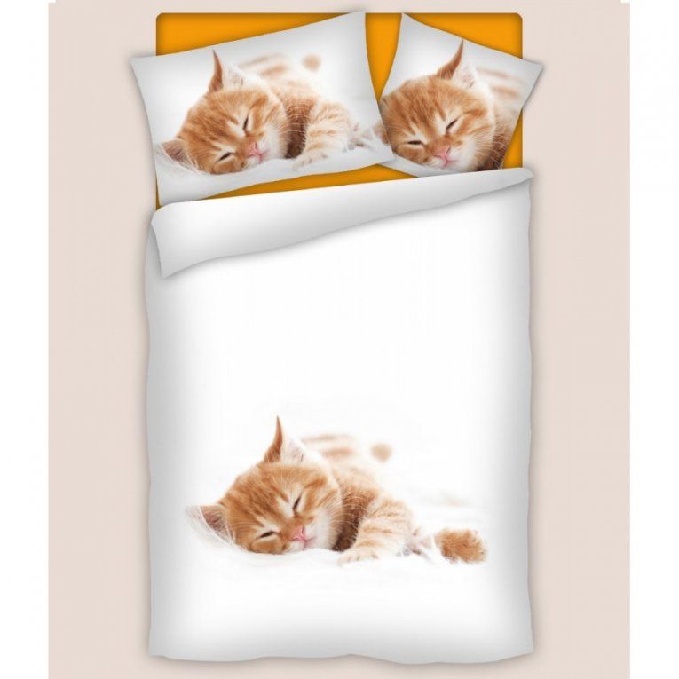 Bettenstudio Mani Betten Fachgeschäft Red Kitten Katzen Bettwäsche von Bettwäsche Katzenmotiv Fotodruck Photo