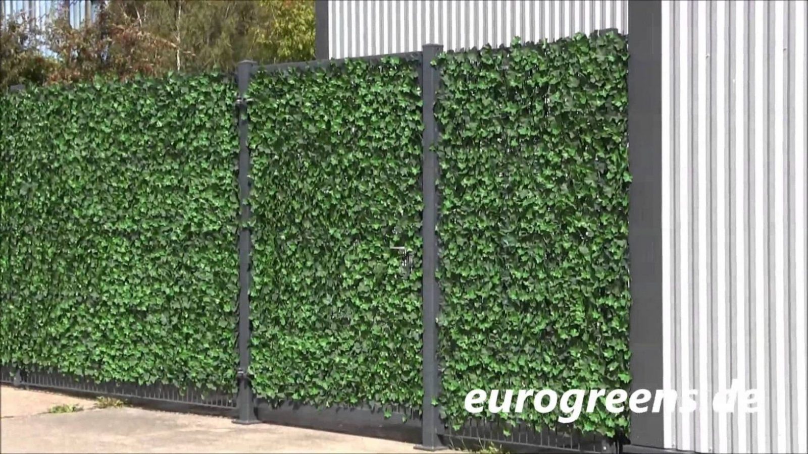 Eurogreens Kunstpflanzen Efeuhecke  Youtube von Efeu Sichtschutz Selber Machen Photo