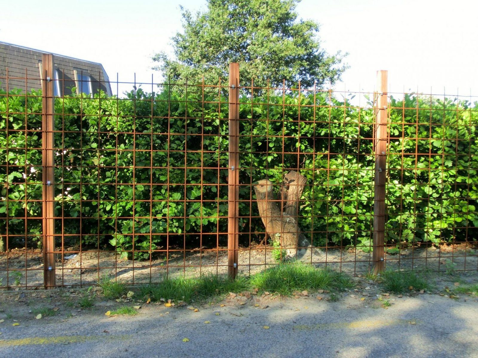 Hecke Als Sichtschutz 50M Nötig  Hausgarten von Efeu Sichtschutz Selber Machen Bild