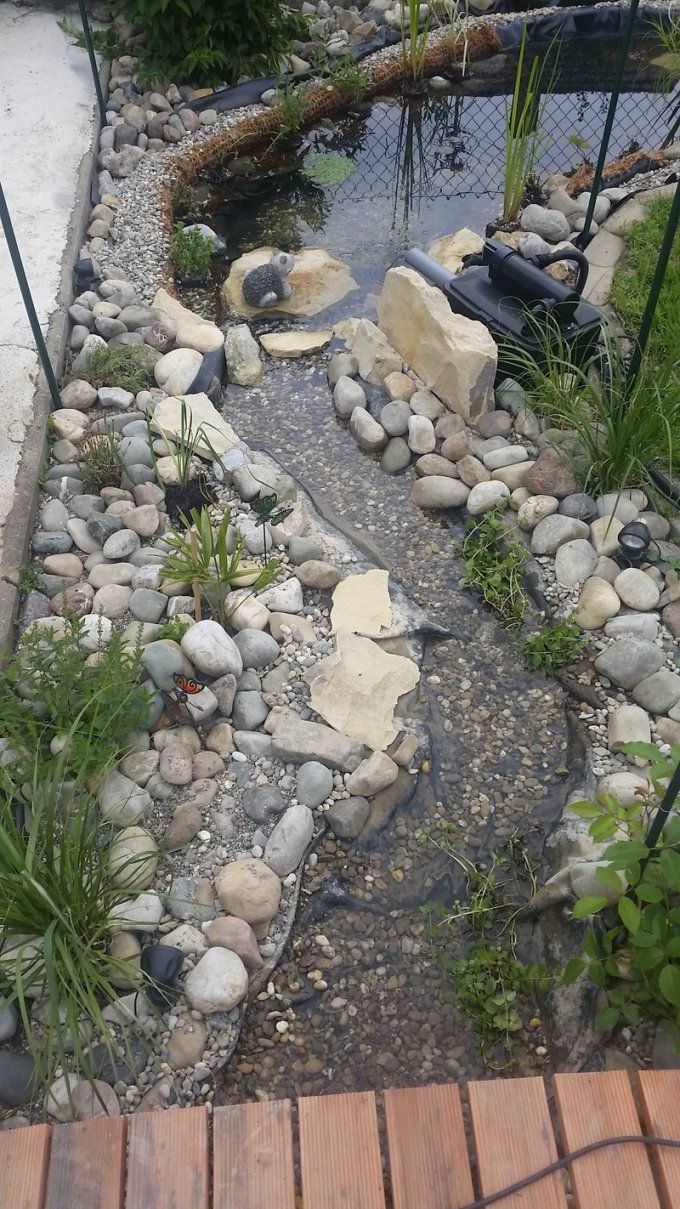 Kleiner Wasserlauf Im Garten Gartengestaltung von Kleiner Wasserlauf Im Garten Bild