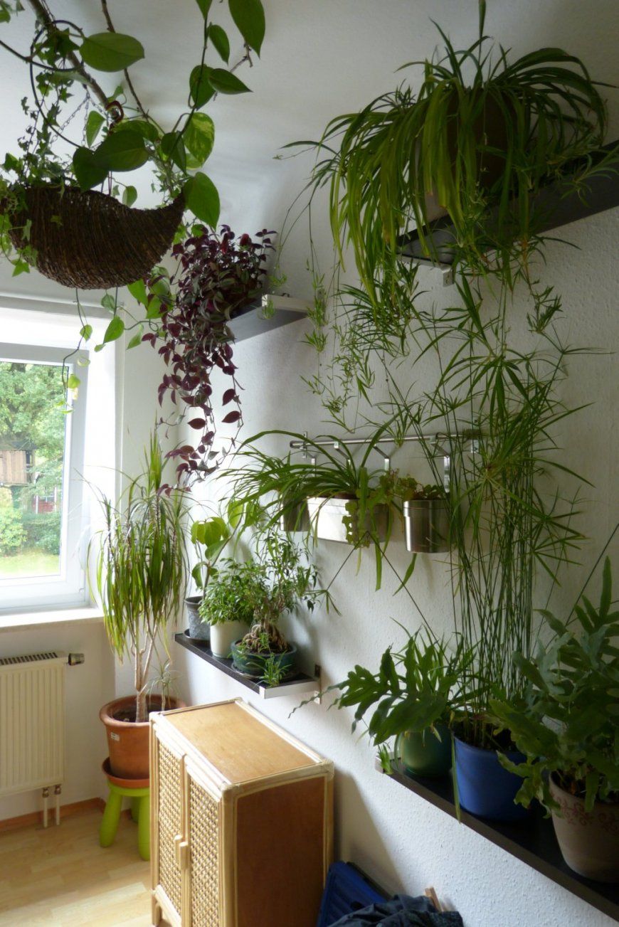 Luftreinigende Pflanzen Schlafzimmer Schädlich von Luftreinigende Pflanzen Fürs Schlafzimmer Photo