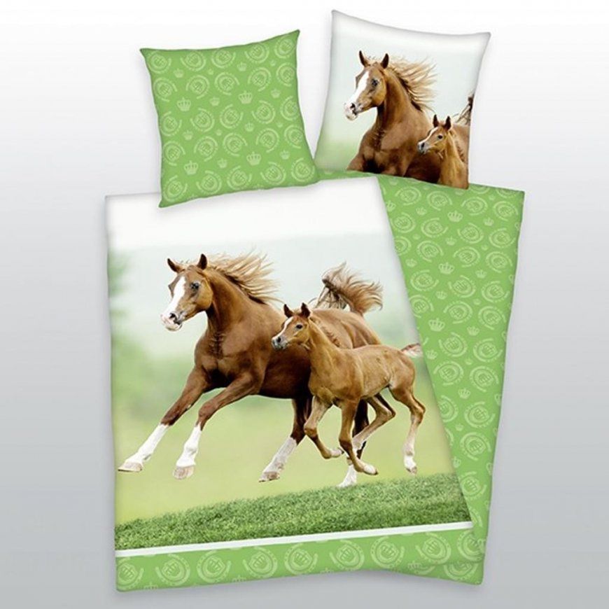 Pferde Bettwäsche Günstig Online Kaufen  Real von Pferde Bettwäsche Kinder Photo