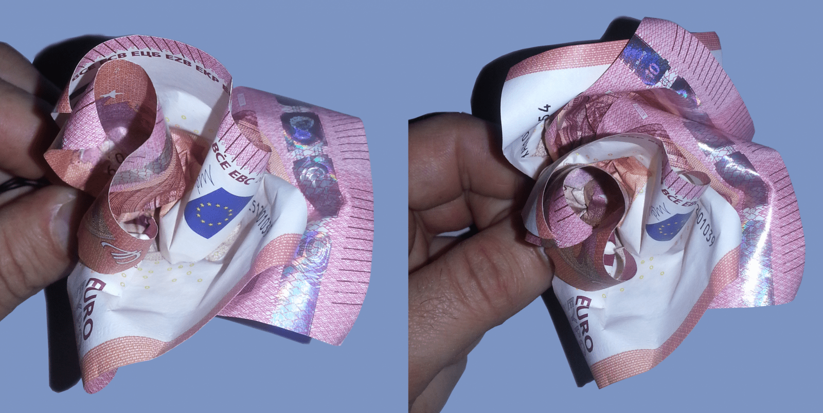 Rose Aus Geldscheinen Falten  Origami Mit Geldscheinen von Origami Rose Geldschein Anleitung Photo
