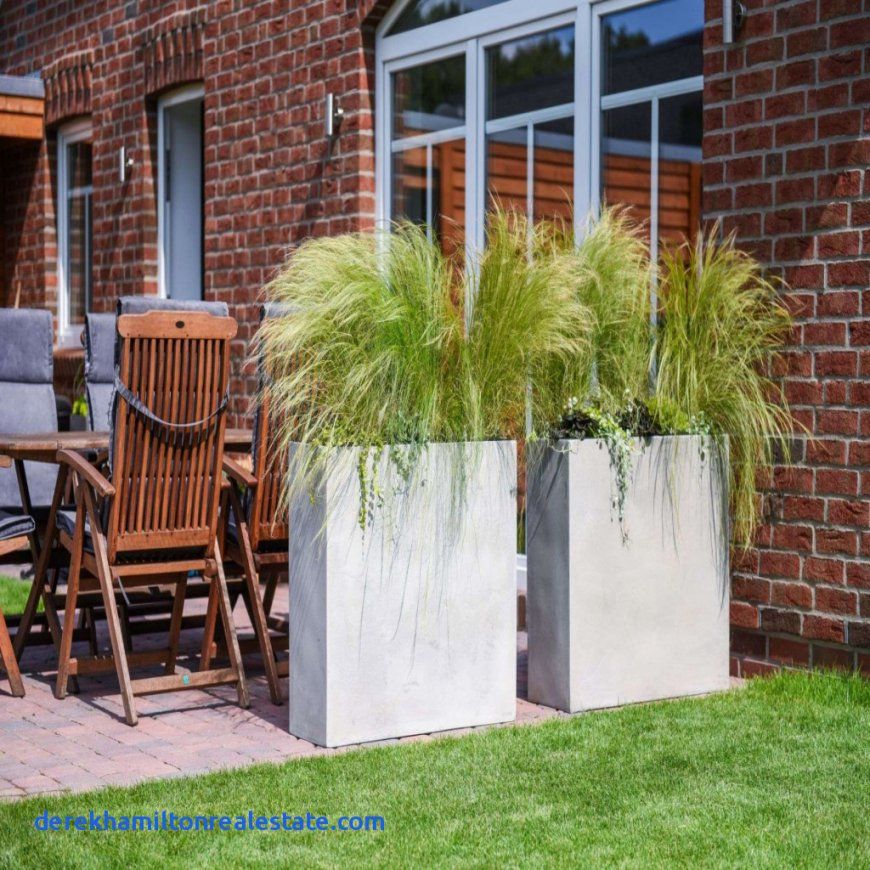 Und Auch Sichtschutz Terrasse Aus Pflanzen – Derekhamiltonrealestate von Sichtschutz Für Terrasse Pflanzen Photo