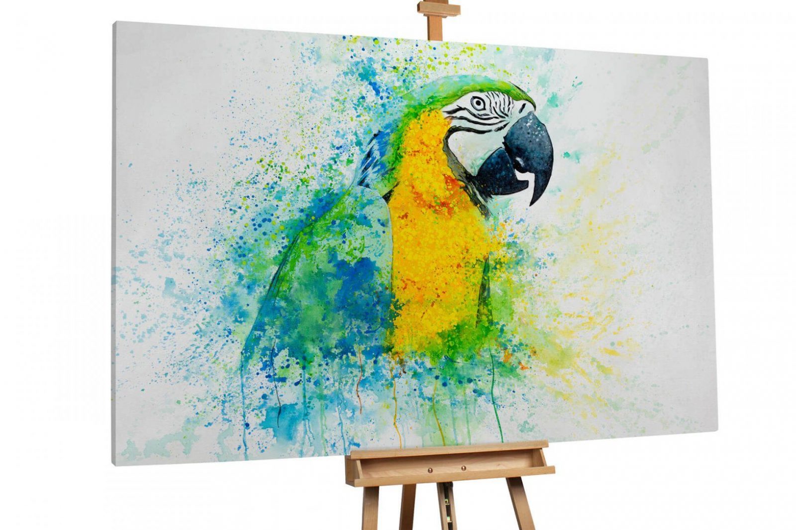 Xxlgemälde Papagei Vogel Blau Gelb Kaufen  Kunstloft von Papageien Bilder Auf Leinwand Bild